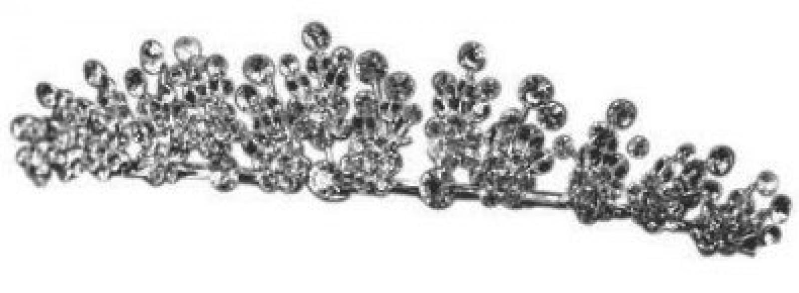 Silber Kristall Strass Vintage Jahrgang K&ouml;nigin Blumen Braut Hochzeit Abschlussball Tiara Diadem (14cm x 2.5cm) mit PreciousBags Schutz-Staubbeutel 