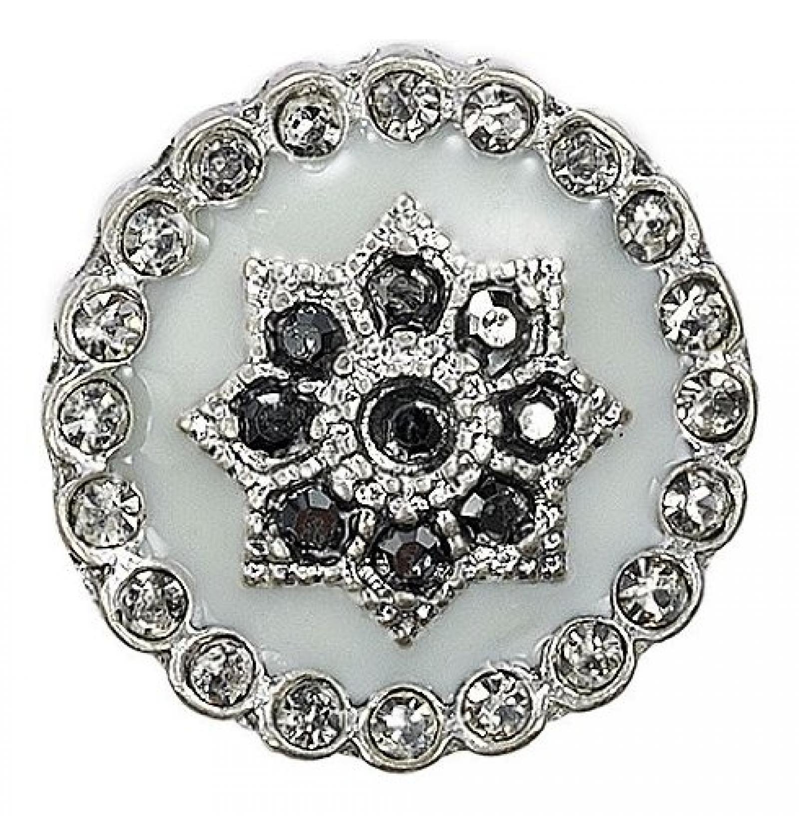 Pilgrim Damen-Anh&auml;nger aus der Serie Charming Versilbert Mint 42122-6011 